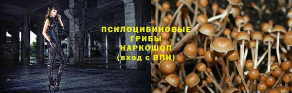 круглые Алзамай