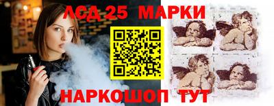 крисы Шелехов