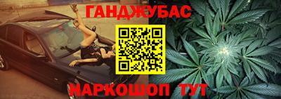 крисы Шелехов