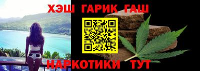 крисы Шелехов