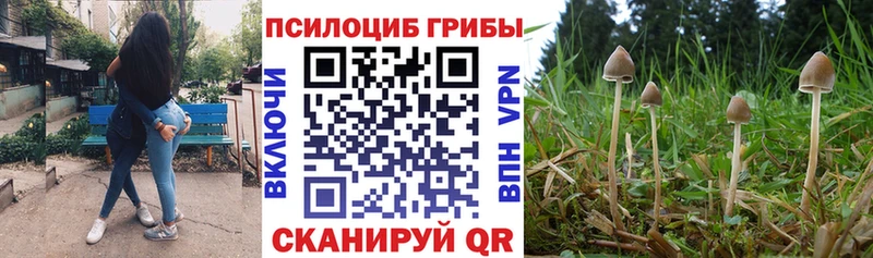 Псилоцибиновые грибы мухоморы  Бердск 