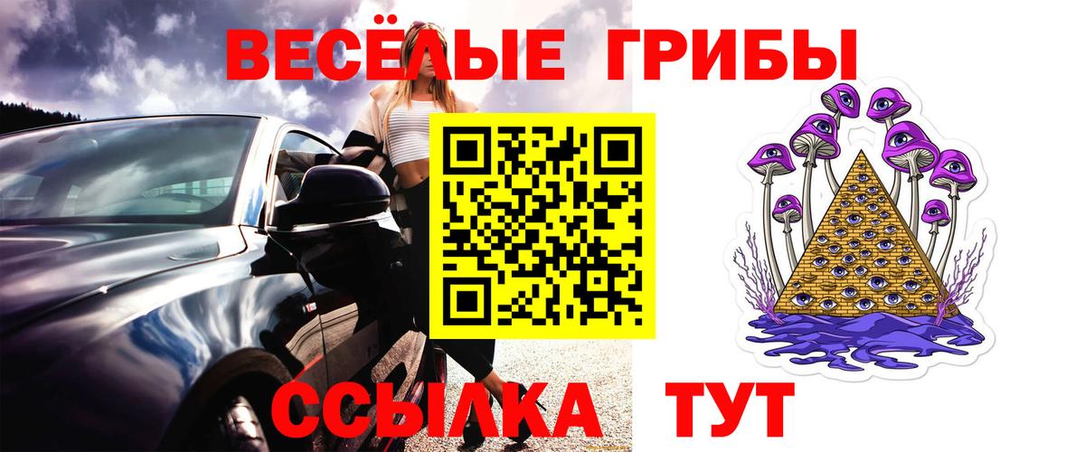 Бердск  Галлюциногенные грибы Magic Shrooms  Вход с VPN 